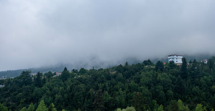 Beautiful landscape with lush green forest on misty weather in Toroslar, Mersin, Turkey
