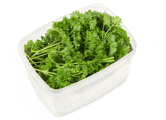 Curly leaf parsley in an open plastic food container