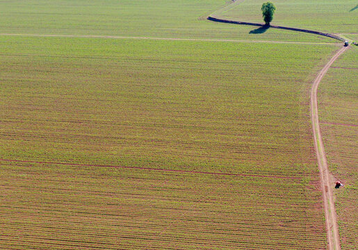 terreno campo coltivato fotografia aerea drone