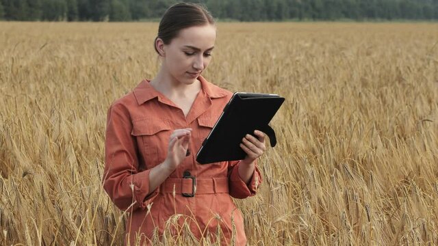 Caucasian Agronomist checking the field of cereals and sends data to the cloud from the tablet. Smart farming and digital agriculture concept. Successful organic food production and cultivation