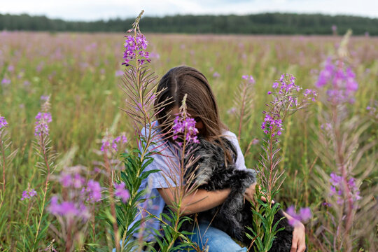 young woman holding gray fluffy senior dog in hands on meadow with flowers of fireweed , pet love and care, walking with dog, beauty in nature friendship