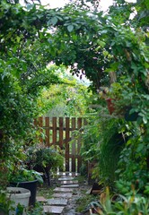 Romantic view of garden and old door