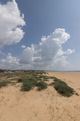 la bella playa de Mazagon,situada en la provincia de Huelva,Espa&ntilde;a. Con sus dunas, vegetacion verde,llerva y un cielo con nubes