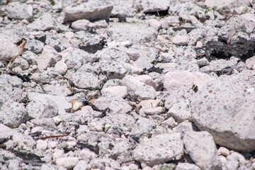 コンクリートの破片　瓦礫