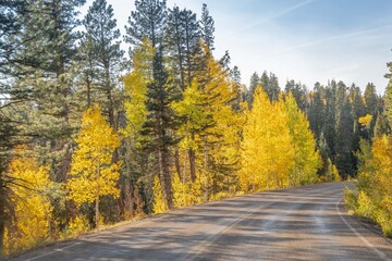 Fototapeta premium A long way down the road going to Grand Canyon National Park, Arizona