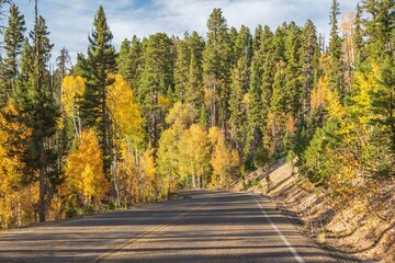 Fototapeta premium A long way down the road going to Grand Canyon National Park, Arizona