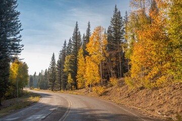 A long way down the road going to Grand Canyon National Park, Arizona © CheriAlguire