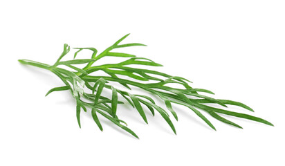 Sprig of fresh dill on white background