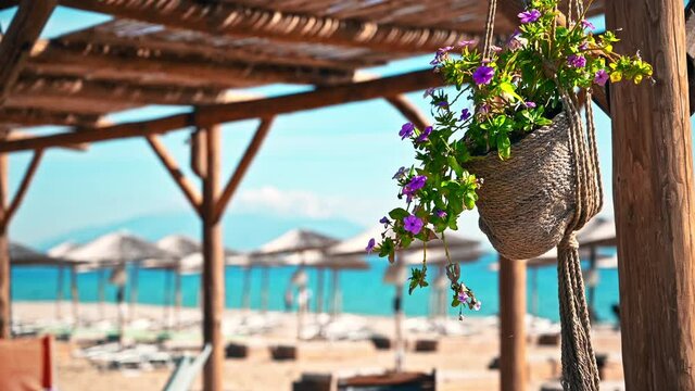 Flowers in a hanged pot in a gazebo on aegean coast. Beach in Greece