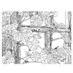 Vector flowers. Hand drawn illustration of garden flowers, old house, black and white. Botanical illustration, isolated on white background