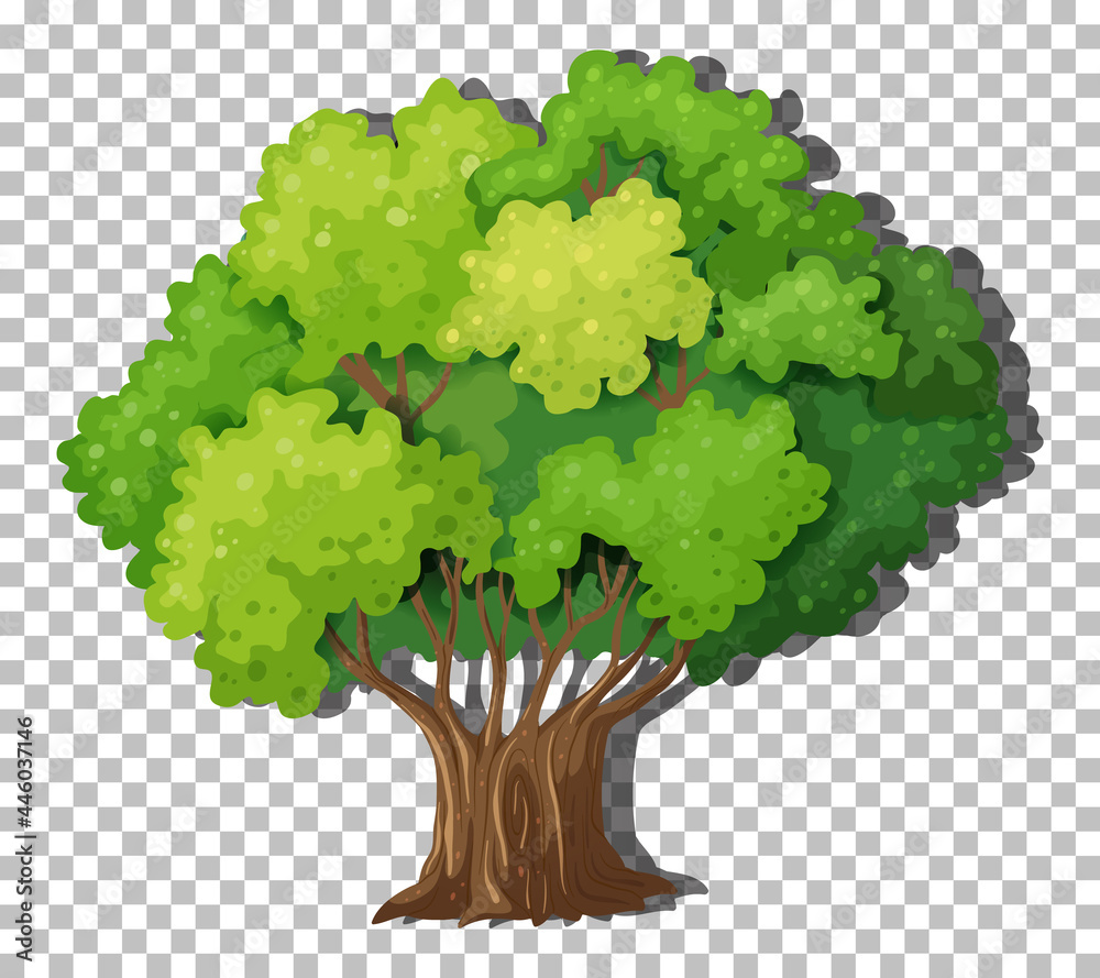 Wall mural a tree isolated on transparent background