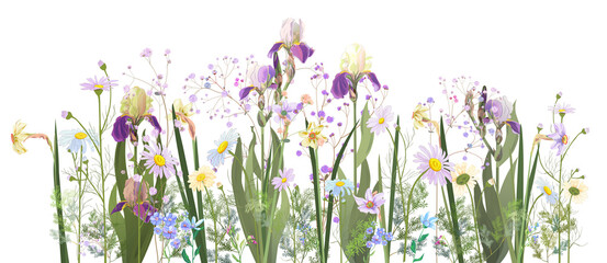 Horizontal spring's border: irises, daffodils (narcissus), daisy, blue purple flowers, small green twigs on white background. Digital draw, illustration in watercolor style, panoramic view, vector