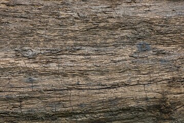 gray brown wooden texture from old planks with small cracks