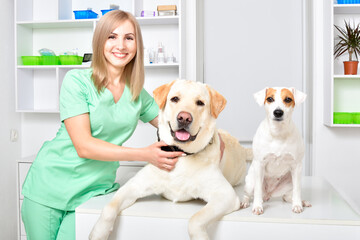 Smiling veterinarian and two dogs at veterinary clinic