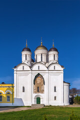 Fototapeta na wymiar St.Paphnutius Borovsk monastery, Russia