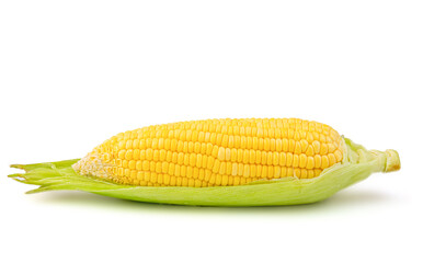 Sweet corn, fresh isolated on white background