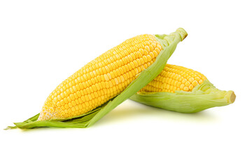 Sweet corns, fresh isolated on white background