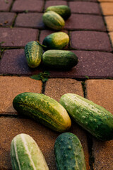 cucumbers on a table