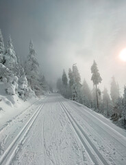 road in the snow