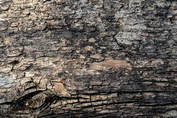 Wooden smooth surface as a background