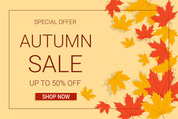 Autumn sale banner with maple leaves and frame. Fall background. Best for shopping sale, promo poster or web banner. 