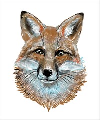 Cute portrait of a fox in watercolor style on an isolated white background. For printing. Vector.
