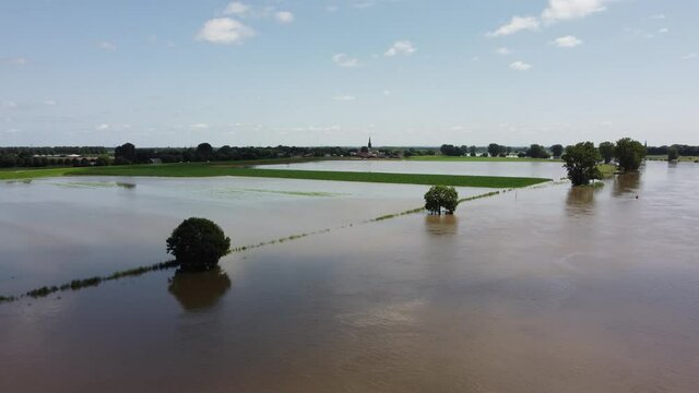Flooded floodplains and drowned trees at river Maas in the Netherlands, Aerial