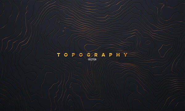 Golden or bronze topography pattern. Vector illustration of heights map topographic backdrop