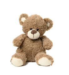 cute brown teddy bear sitting on white isolated background