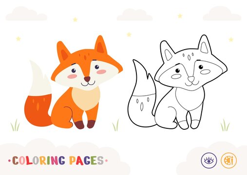 Colored template and colorless contour image of cute fox isolated on white background. Wild animals preschool kids coloring book illustrations and developmental activity.