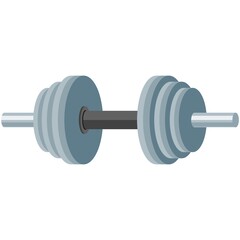 Vector dumbbell sport equipment icon isolated illustration
