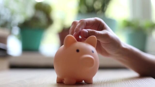 The hand puts a coin in the piggy bank and strokes it 