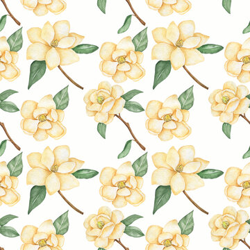 Watercolor seamless pattern from white magnolia isolated on white background.Good for fabrics,wrapping paper,wallpaper.