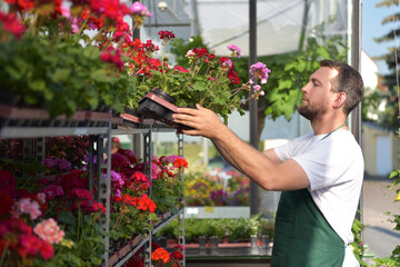 happy worker growing flowers in a greenhouse of a flower shop - Powered by Adobe