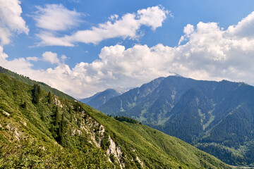 Naklejka premium spruce-covered mountain slopes stretching into the distance