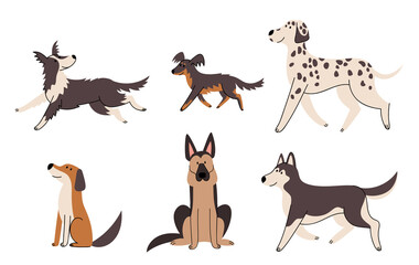 Vector collection of flat dog running, sitting and walking. - 446059366