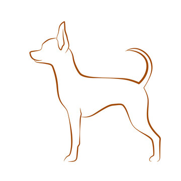 Dog breed - Russian Toy Terrier, line drawing in profile