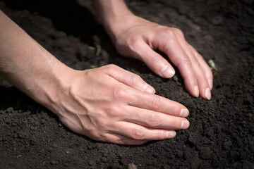 The hands of a farmer on the black ground close-up.