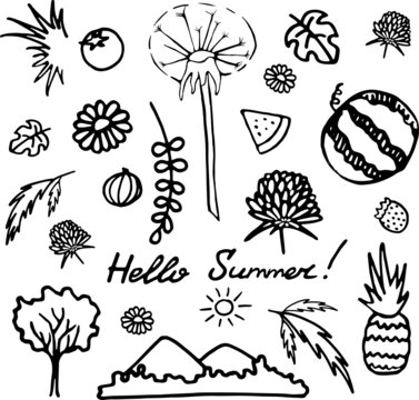 Set of doodles on the theme of summer. We see different summer food and plants.
This illustration can be used to create business cards, websites, animations, and other web designs.