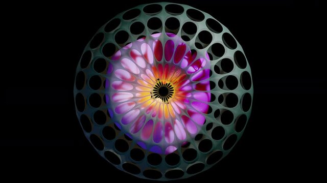 Modern abstract decoration for video presentation. Colorful fantastic holey shape with soft body inside. Beautiful fractal simulation. Seamless loop 3D animation with alpha, moving creative background