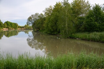 Fototapeta na wymiar Morning by the pond. Rouske. East Moravia. Europe.