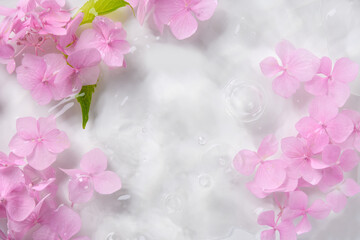Romantic pink hydrangea flowers in water as background for greeting card. Floral pattern.