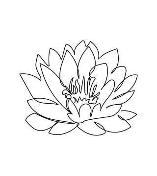Water lily flower one line art. Continuous line drawing of plants, herb, flower, blossom, nature, flora, lotus.