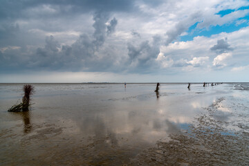 Calm and tranquil seascape at the beach at low tide in Wadden Sea, Germany