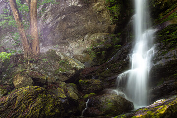 大除沢不動滝の風景

