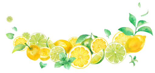 爽やかなシトラスとミントの水彩イラスト。ボトム装飾フレームデザイン。レモンとライム。 © Keiko Takamatsu