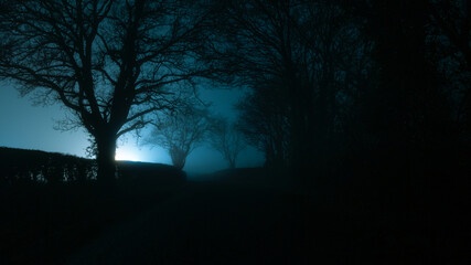 A mysterious moody, scary lane,  Trees silhouetted against a light on a foggy atmospheric winters night