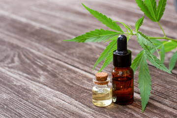 Cannabis hemp essential oil 