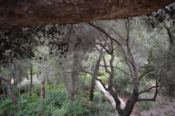 Barcelona, Antoni Gaudí and Nature!