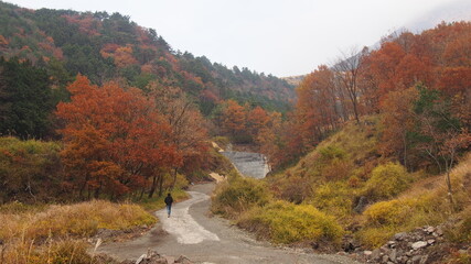 Obraz premium autumn in the mountains